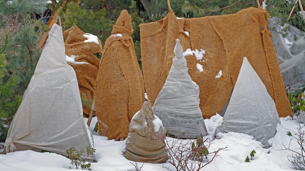 Vlies und Jute als Frostschutz für Gartenpflanzen im Winter
